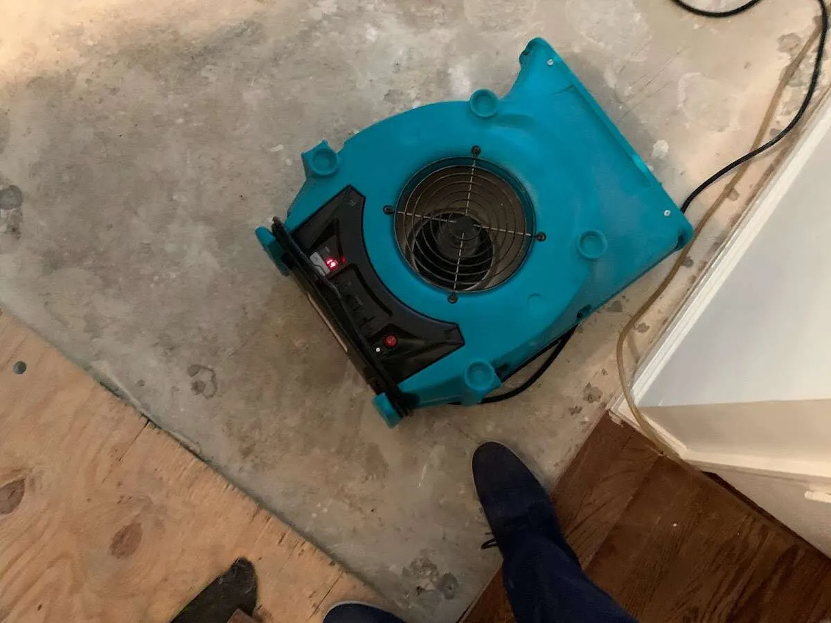 Air mover drying subfloor during Commercial Water Damage Restoration in Williamson
